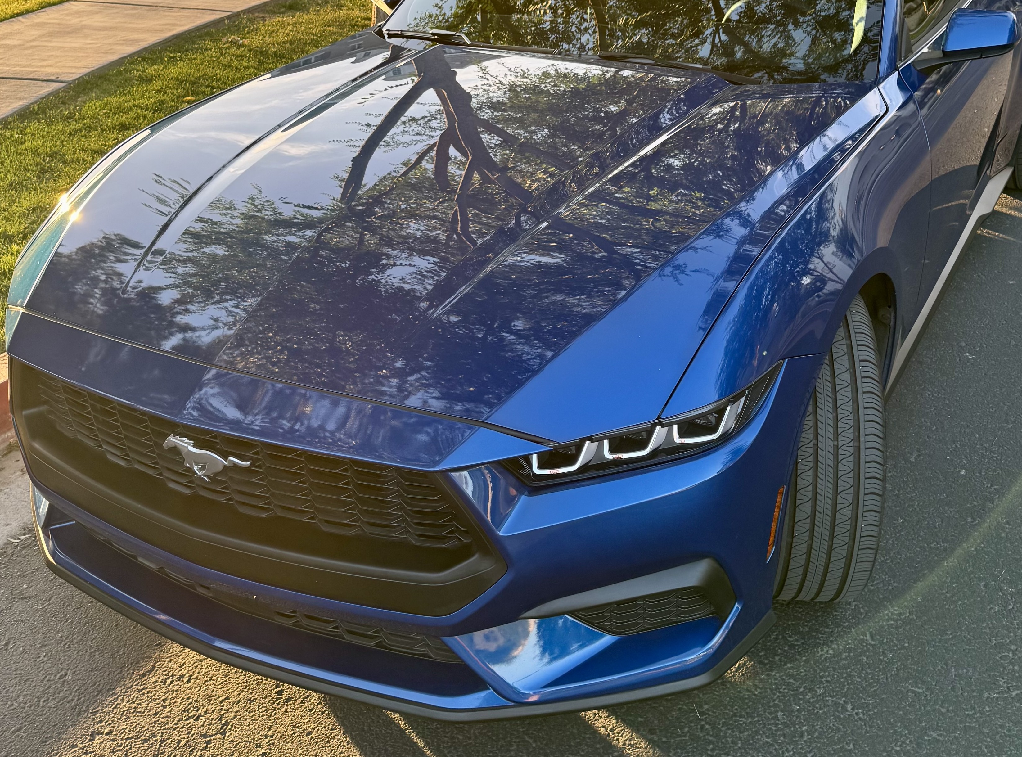 After — 2024 Ford Mustang hood, mirror finish