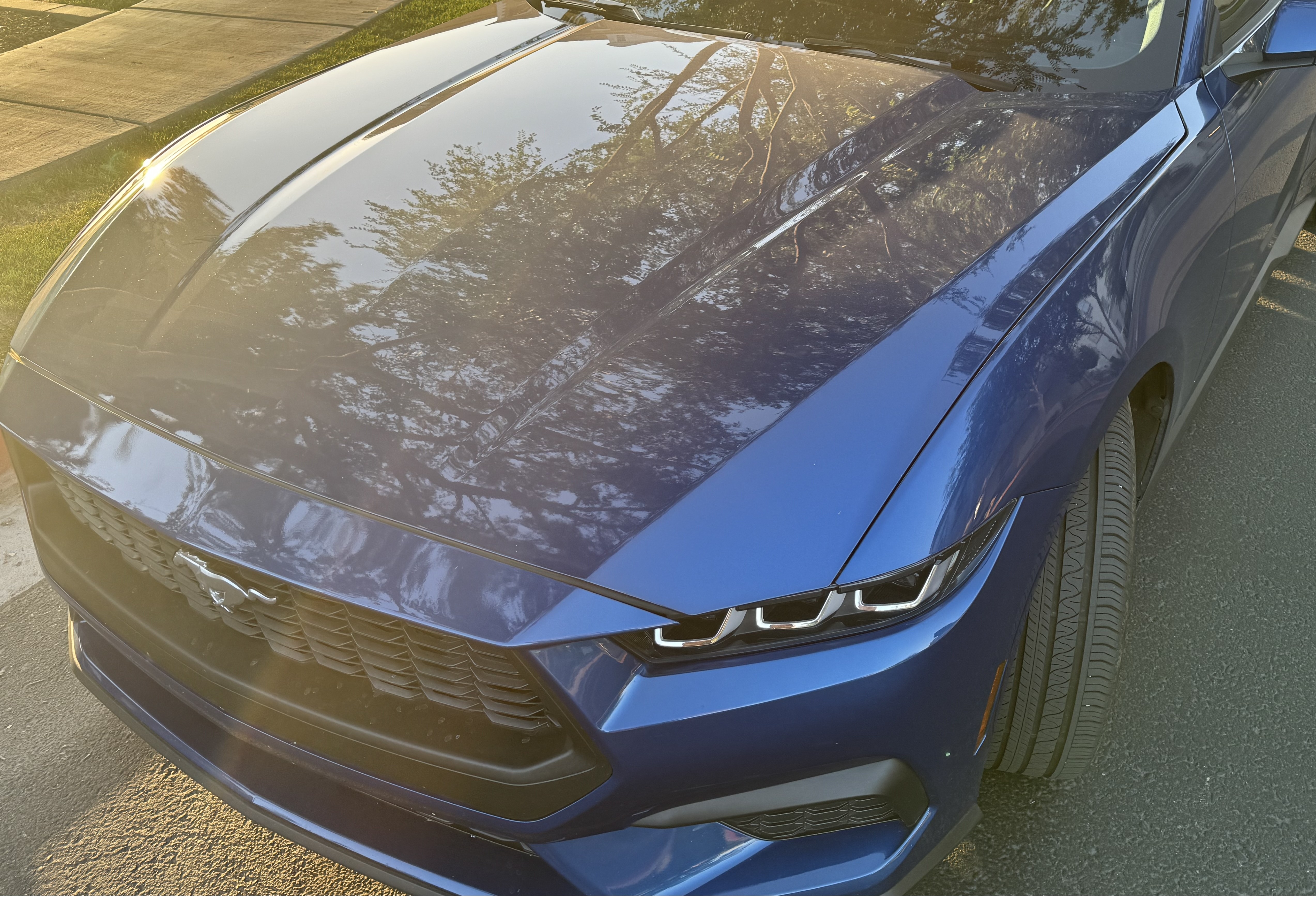 Before — 2024 Ford Mustang hood