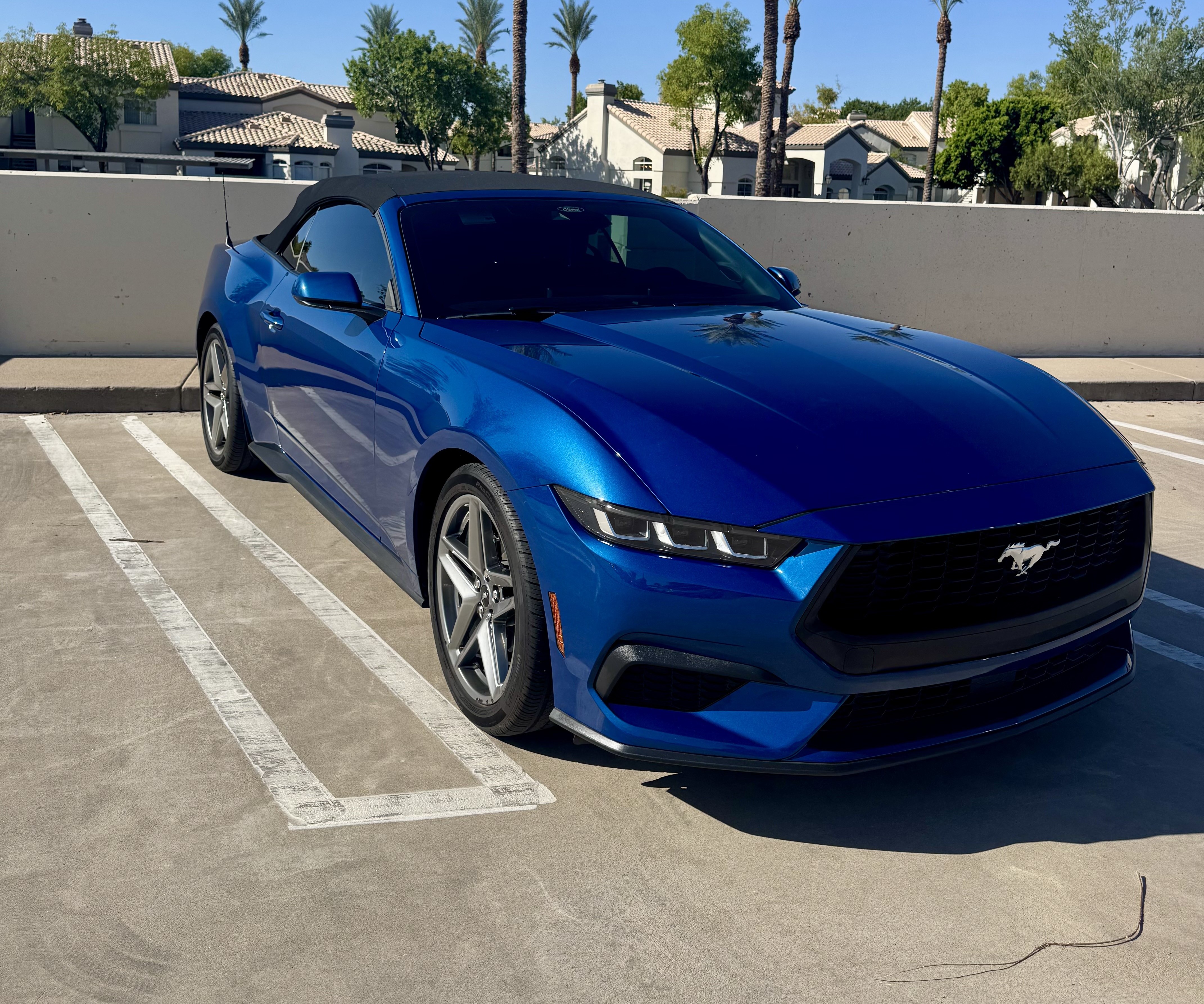 Jenn's 2024 Ford Mustang Convertible after detailing